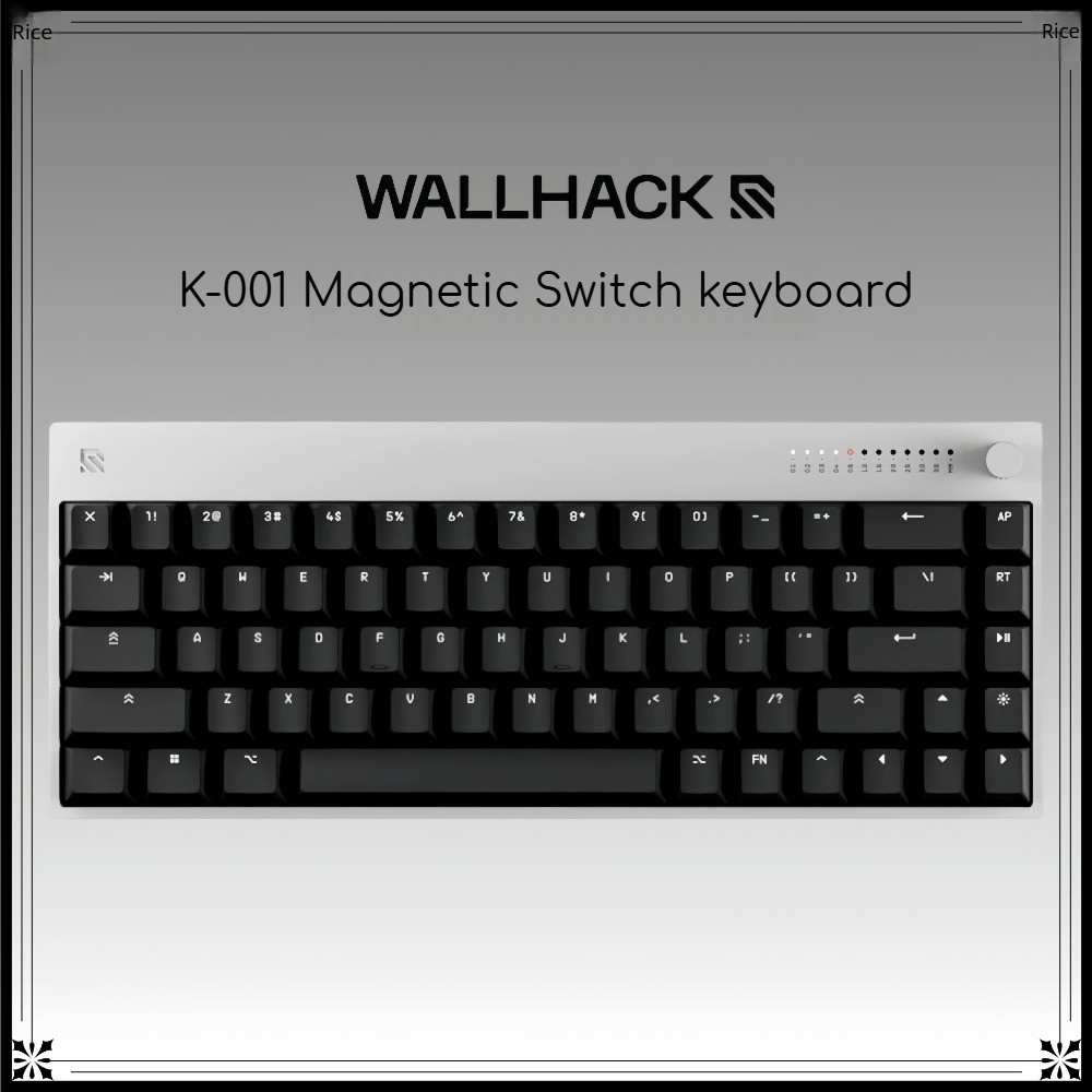 WALLHACK K-001 Hall Effect Mag - Gaming Keyboard Hall Effect Switches recensie en prijs